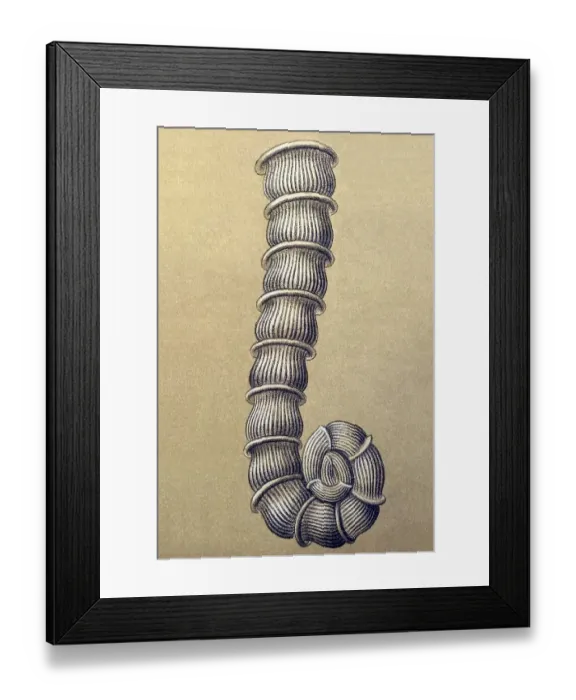 Framed Print : Historic illustration, tablet 12