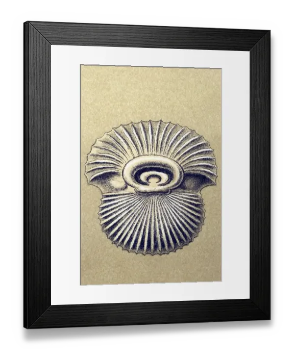 Framed Print : Historic illustration, tablet 12 Framed Print : Historic illustration, tablet 12