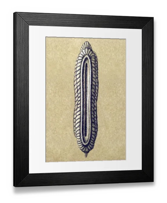 Framed Print : Historic illustration, tablet 12 Framed Print : Historic illustration, tablet 12