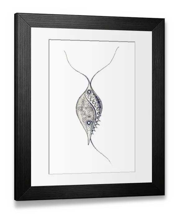 Framed Print : Historic illustration, tablet 13