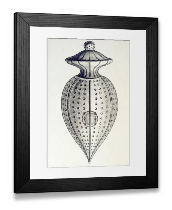 Framed Print : Historic illustration, tablet 14 Framed Print : Historic illustration, tablet 14