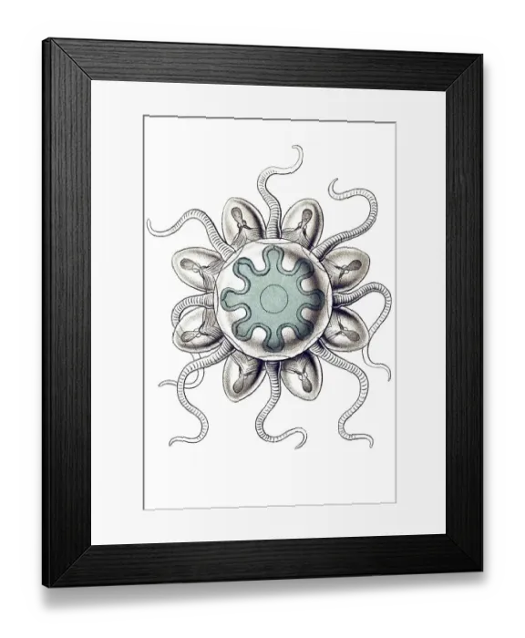 Framed Print : Historic illustration, tablet 16