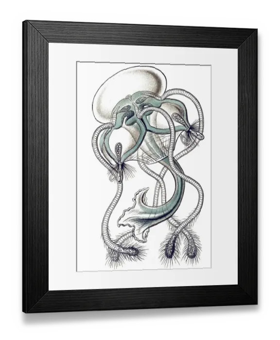Framed Print : Historic illustration, tablet 16