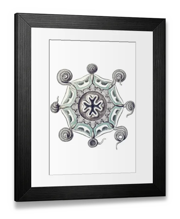 Framed Print : Historic illustration, tablet 16