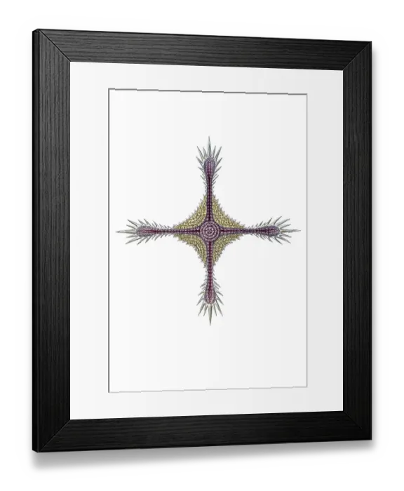 Framed Print : Historic illustration, tablet 11