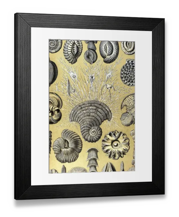 Framed Print : Historic illustration, tablet 12 Framed Print : Historic illustration, tablet 12
