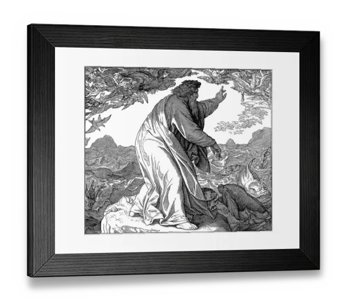 Framed Print : Woodcut, God, the fifth day of creation Framed Print : Woodcut, God, the fifth day of creation
