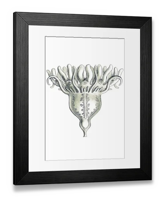 Framed Print : Historic illustration, tablet 18 Framed Print : Historic illustration, tablet 18