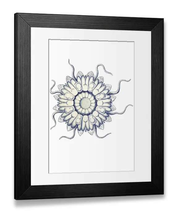 Framed Print : Historic illustration, tablet 18 Framed Print : Historic illustration, tablet 18