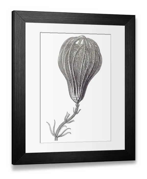Framed Print : Historic illustration, tablet 20 Framed Print : Historic illustration, tablet 20