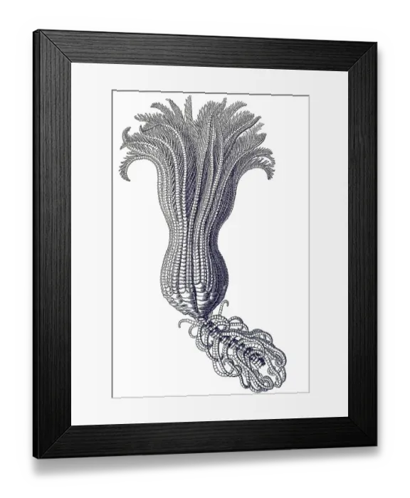 Framed Print : Historic illustration, tablet 20