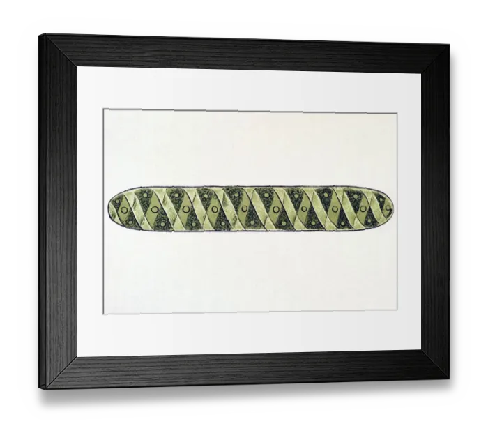 Framed Print : Historic illustration, tablet 24