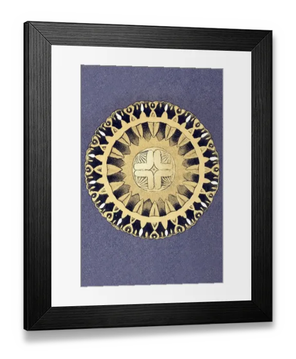 Framed Print : Historical illustration, Discomedusae