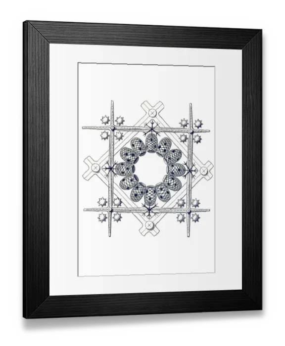 Framed Print : Historical illustration, Hexactinellid Sponge
