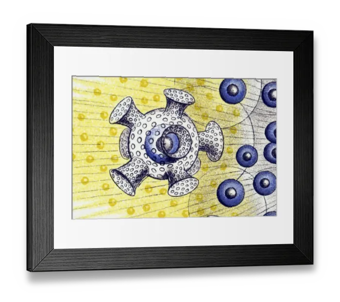 Framed Print : Historical illustration, Polycyttaria Framed Print : Historical illustration, Polycyttaria