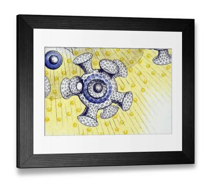 Framed Print : Historical illustration, Polycyttaria Framed Print : Historical illustration, Polycyttaria