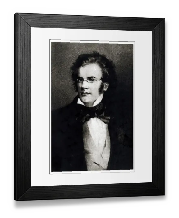 Framed Print : Historic portrait, Franz Schubert Framed Print : Historic portrait, Franz Schubert