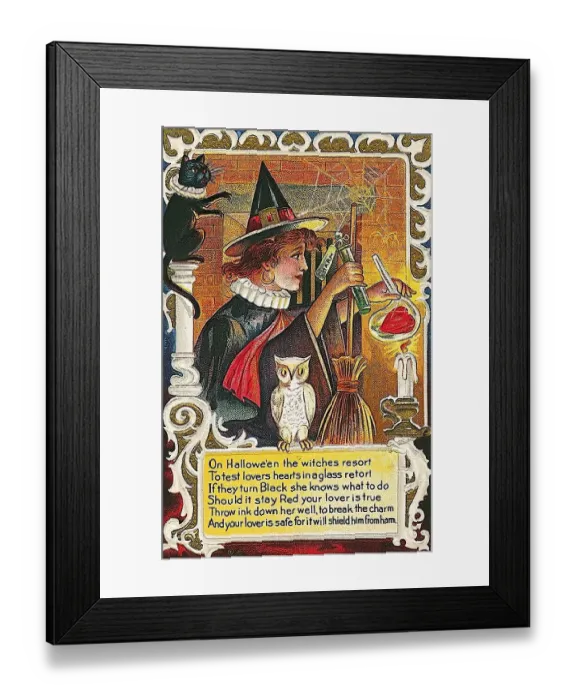 Framed Print : Witch mixing a potion, white owl