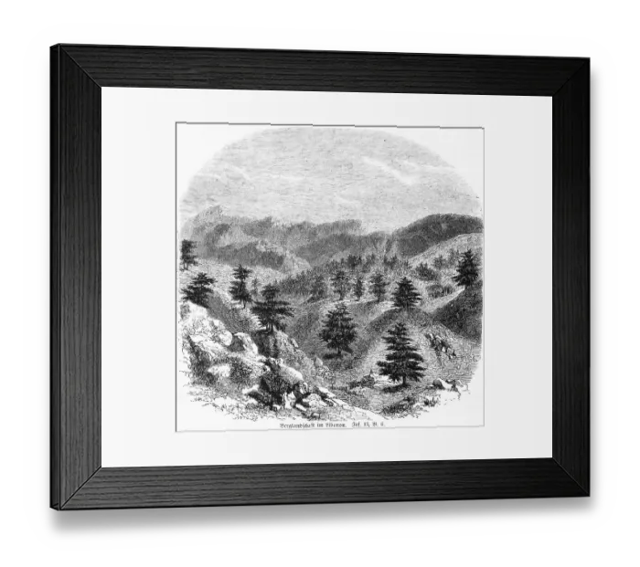 Framed Print : Mountain landscape in Lebanon, coniferous trees Framed Print : Mountain landscape in Lebanon, coniferous trees