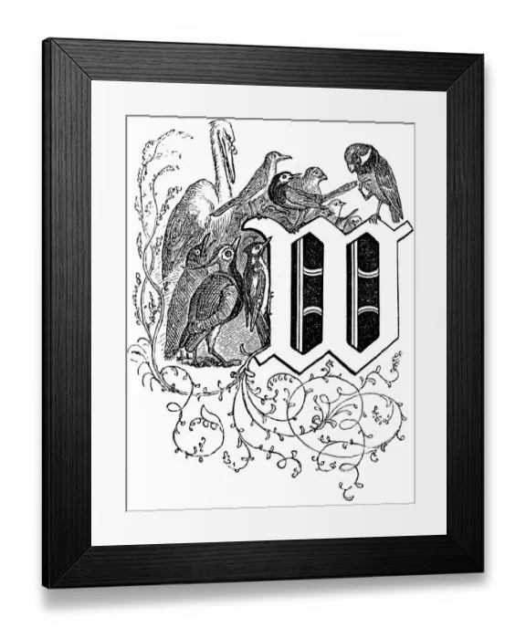 Framed Print : Fritz Reuter (1810) (1874) Low German writer and poet