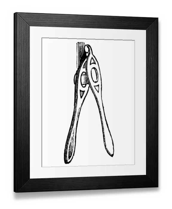 Framed Print : Lemon squeezer, historical illustration