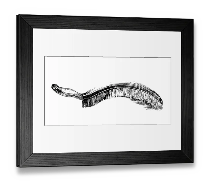 Framed Print : Curved hand broom, historical illustration from: Marie Adenfeller