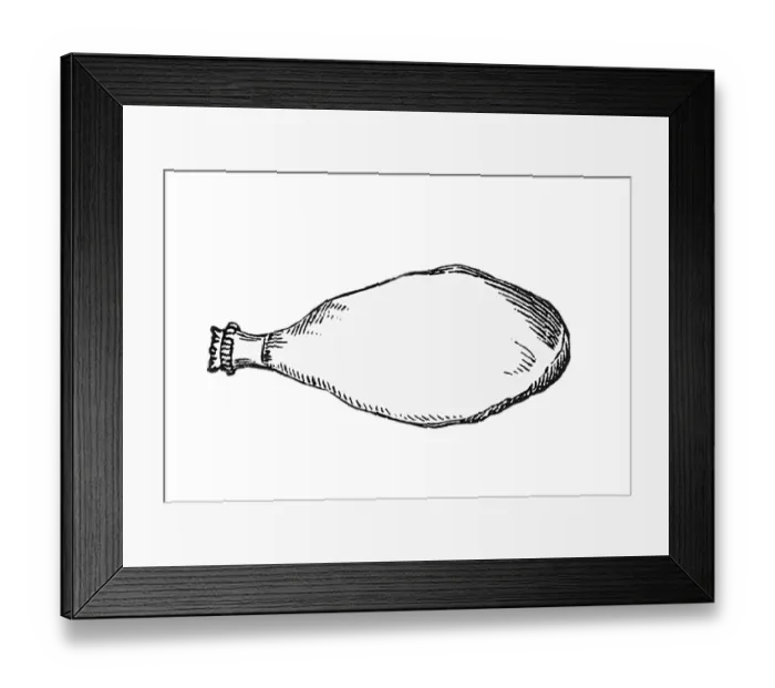 Framed Print : Ham, historical illustration from: Marie Adenfeller
