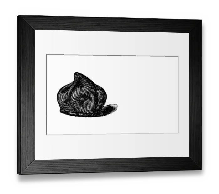 Framed Print : Praline, historical illustration from: Marie Adenfeller Framed Print : Praline, historical illustration from: Marie Adenfeller