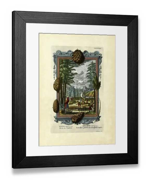 Framed Print : Genesis 6 / 14, Arch Noaeh built from the Holtz Gopher