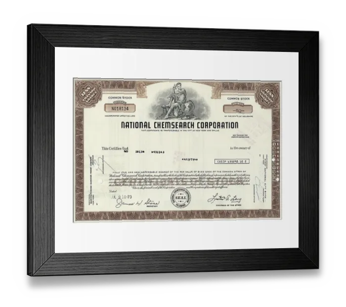Framed Print : Historical share, National Chemsearch Corporation