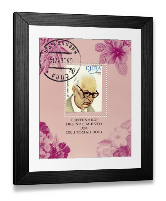 Framed Print : Historical stamp in memory of the botanist Juan Tomas Roig