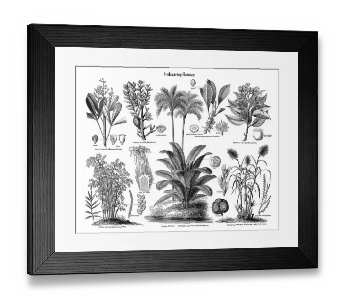Framed Print : Historic illustration of industrial plants Framed Print : Historic illustration of industrial plants