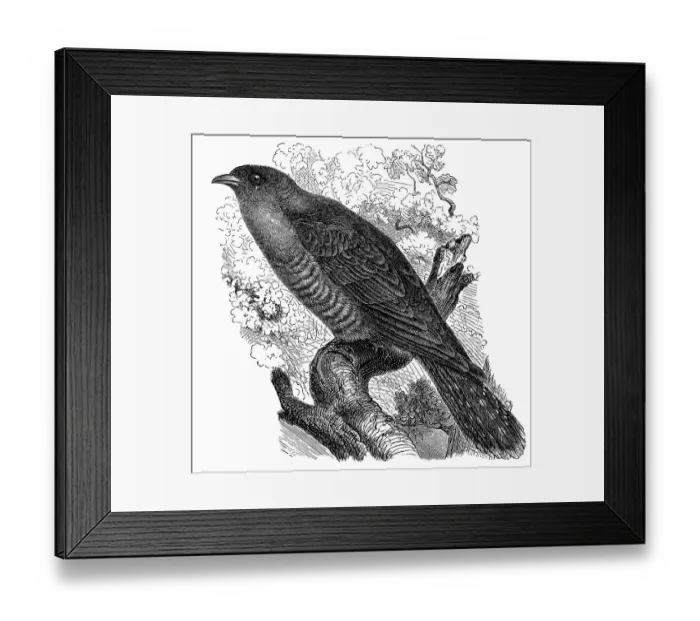 Framed Print : Historical graphic representation