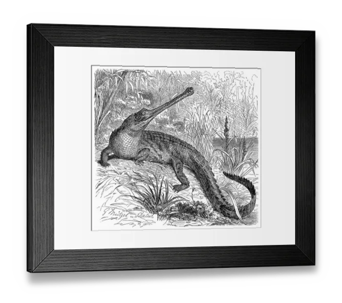 Framed Print : Historical graphic representation