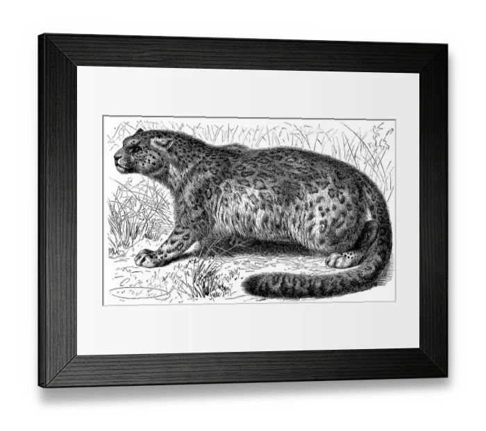 Framed Print : Historical graphic representation