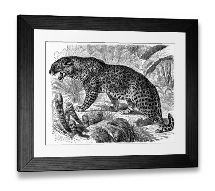 Framed Print : Historical graphic representation