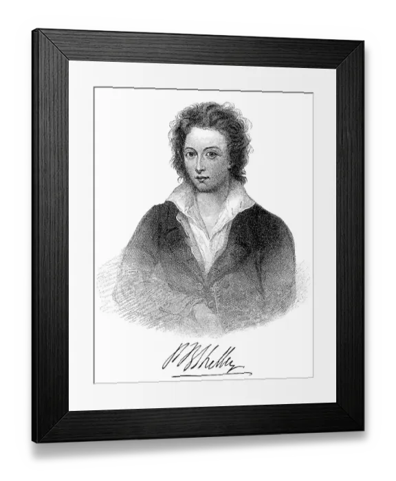 Framed Print : Historical engraving from 19th Century Framed Print : Historical engraving from 19th Century