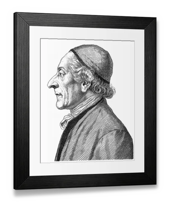 Framed Print : Historical drawing from the 19th century
