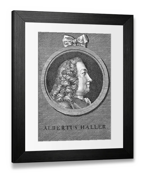 Framed Print : Historical illustration from the 19th century