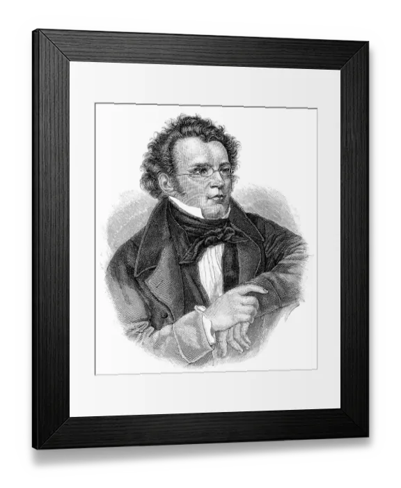 Framed Print : Historic drawing from the 19th century Framed Print : Historic drawing from the 19th century