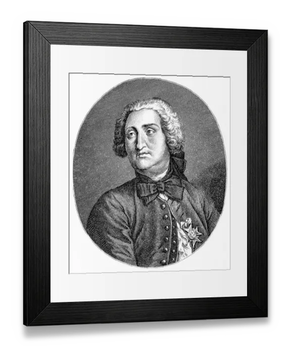 Framed Print : Historic drawing from the 19th century Framed Print : Historic drawing from the 19th century