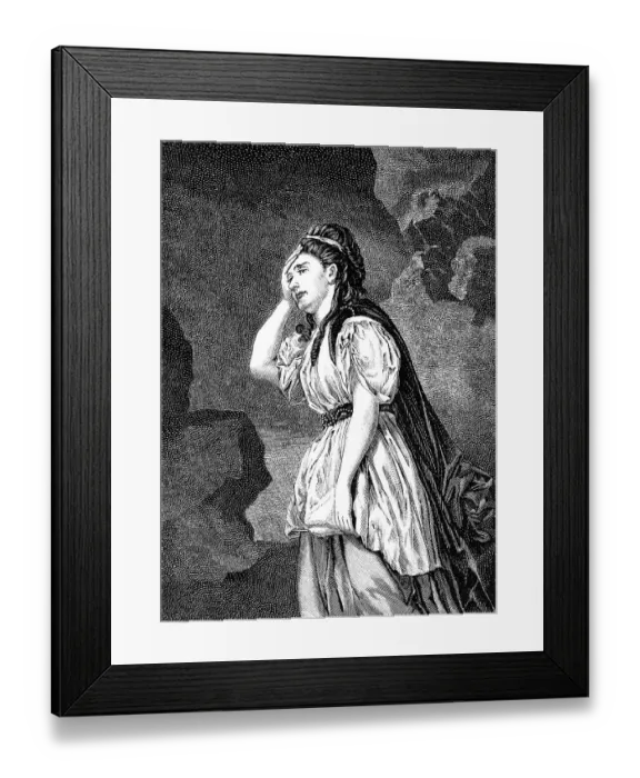 Framed Print : Historic drawing from the 19th century Framed Print : Historic drawing from the 19th century
