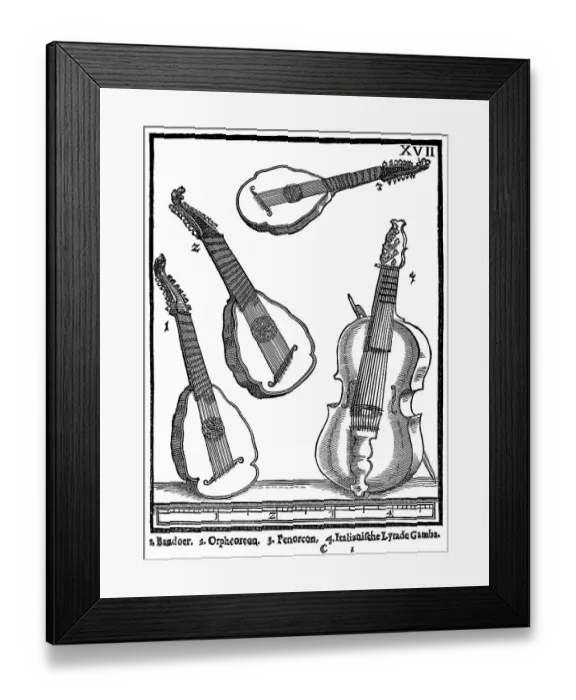 Framed Print : Facsimile of a plate with a bass viol and plucked string instruments Framed Print : Facsimile of a plate with a bass viol and plucked string instruments