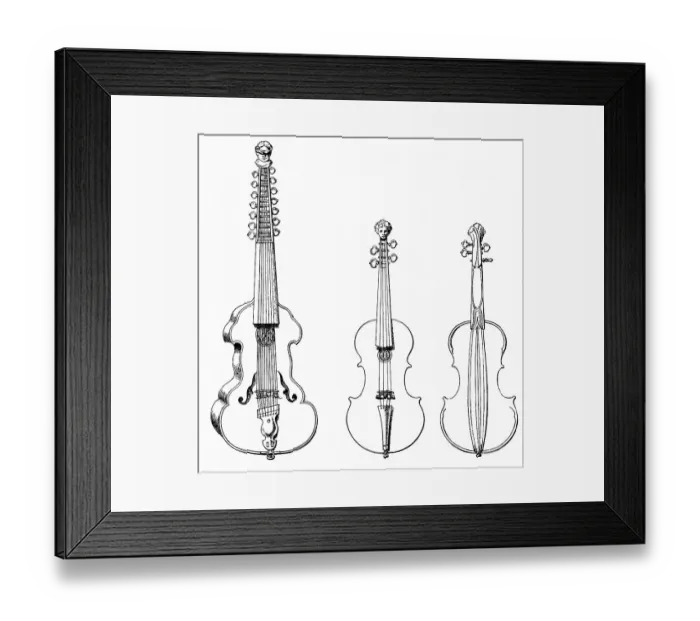 Framed Print : Historical drawing, various stringed instruments
