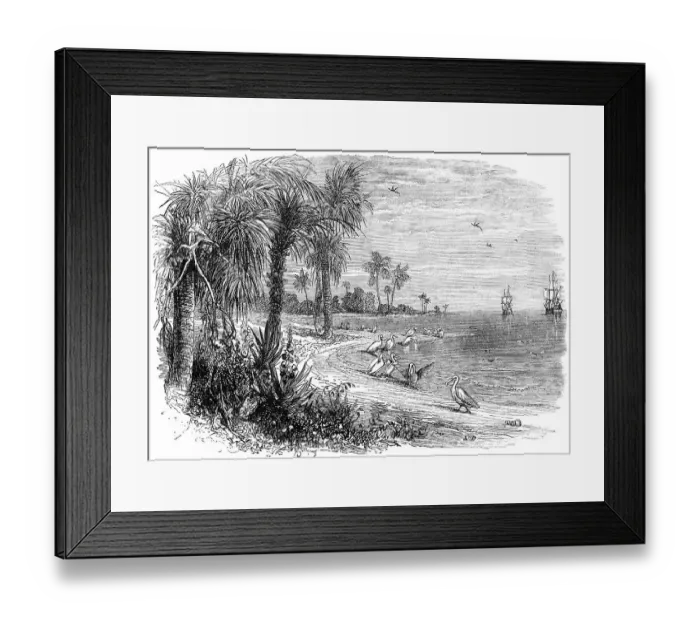 Framed Print : Historical drawing from the U.S