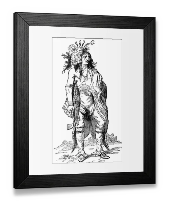 Framed Print : Historical drawing from the U.S