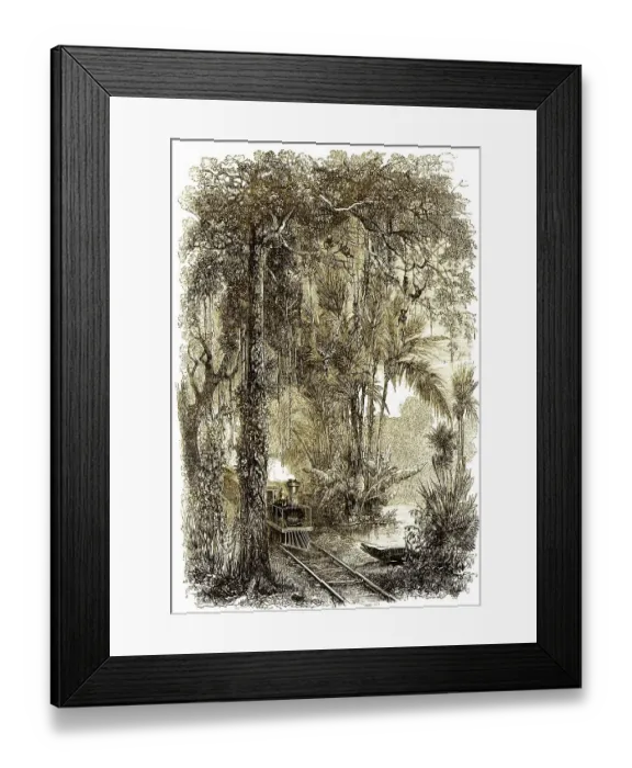 Framed Print : Historical drawing from the 19th century