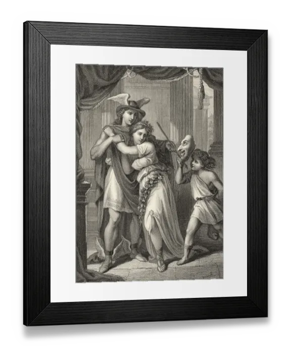 Framed Print : Historic steel engraving from the 19th century