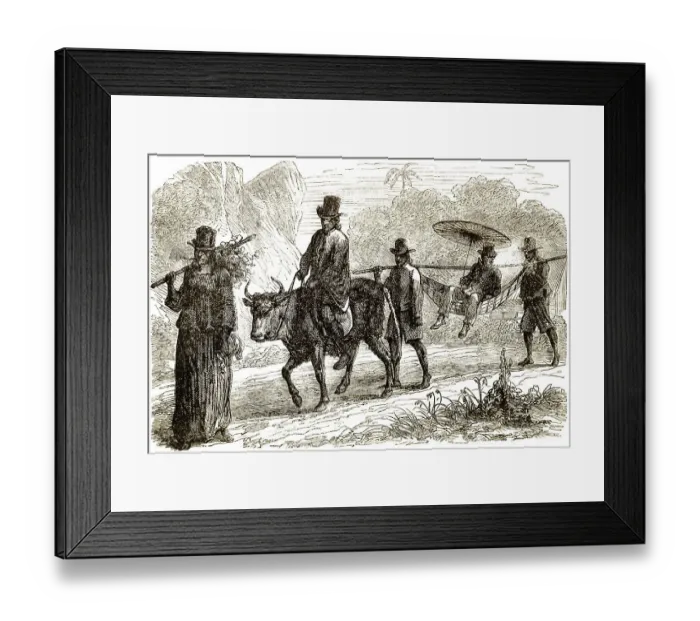 Framed Print : Historic drawing, 19th century Framed Print : Historic drawing, 19th century