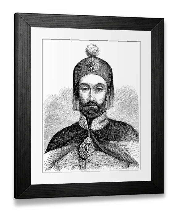 Framed Print : Historic drawing, 19th century Framed Print : Historic drawing, 19th century